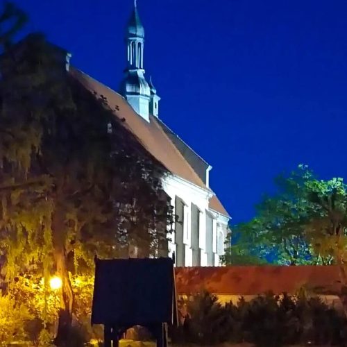 I miejsce Filip Wajrauch 1 a Tytuł: Kładka nad stawem Kategoria tematyczna: Koźmin natury