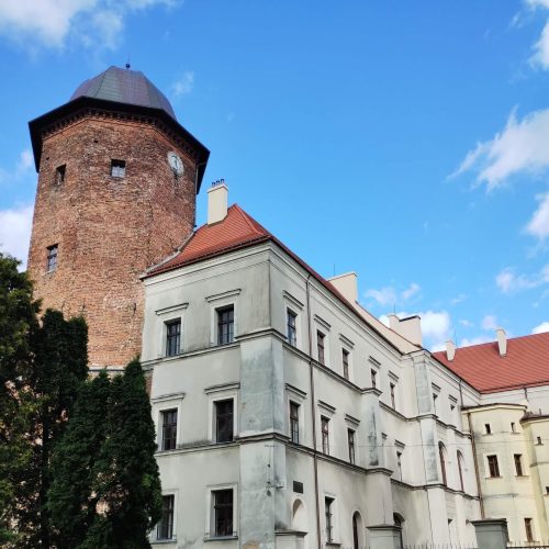 II miejsce Bartek Mrzewka 3 a Tytuł: Koźmiński zamek i muzeum Kategoria tematyczna: Koźmin z perspektywy