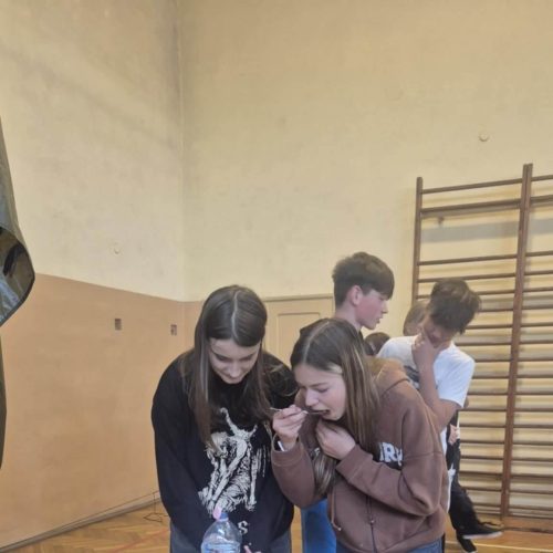 501443854_1221702349750759_646460060905070346_n