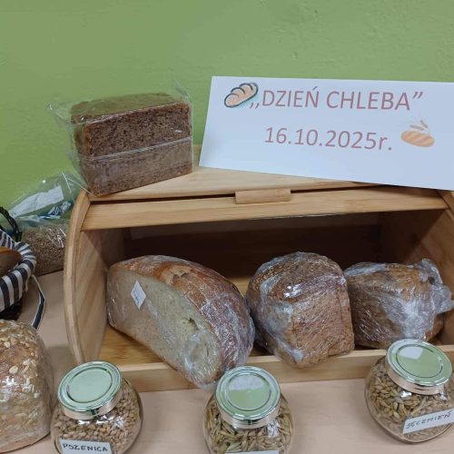 549791542_1335699568351036_1936108461600008836_n