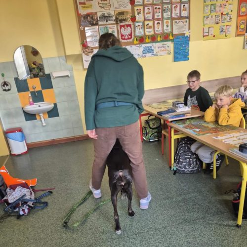 558928260_1332384175349242_6439314822623076927_n