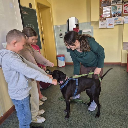 559264427_1332383565349303_6171655133362562753_n