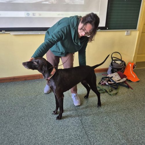 559339455_1332384005349259_8451159980400696657_n