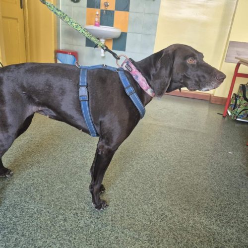 559741507_1332383392015987_2955262780082096923_n