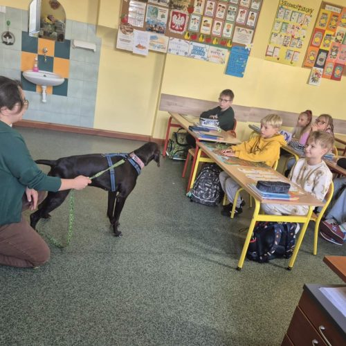 559827937_1332383108682682_3785956387907812997_n