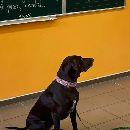 559928766_1332384292015897_2550369428300756154_n