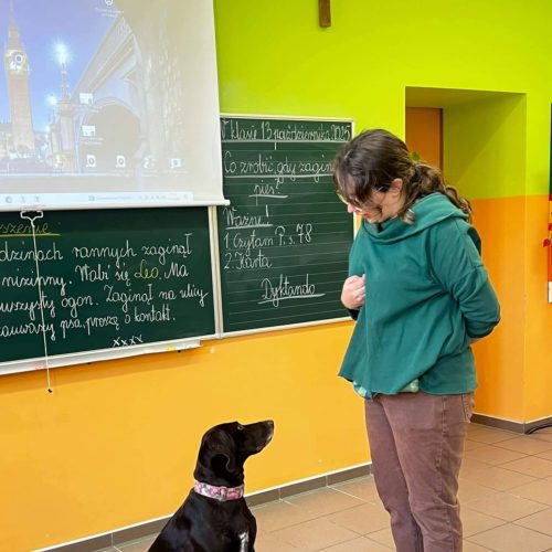 559980551_1332384245349235_8493905690565444345_n