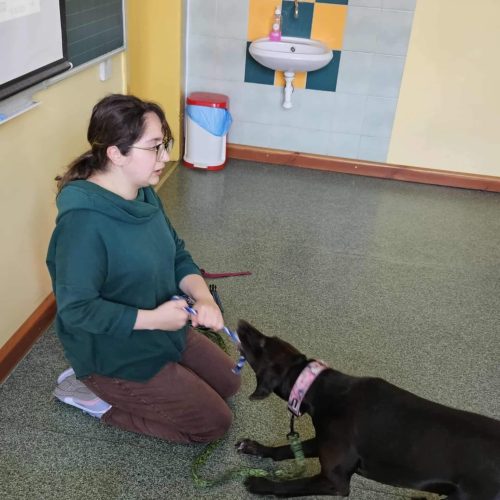 560296044_1332389262015400_3082001193161997543_n