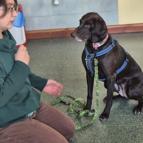 560698272_1332384082015918_2208080962772507922_n