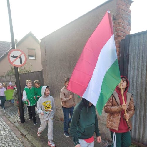 561125298_1339851417935851_7390273906488336280_n