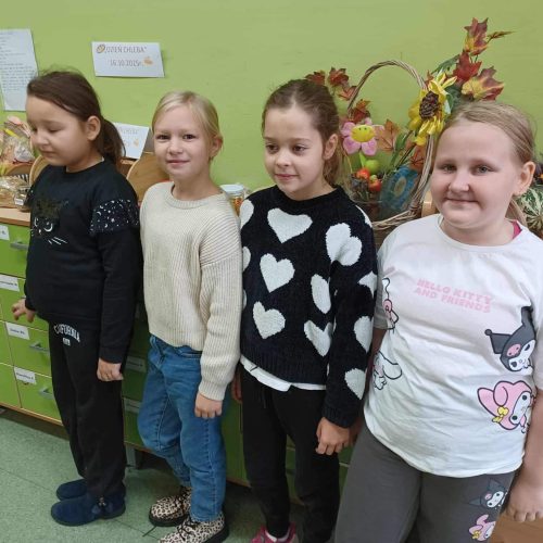 561237209_1335699268351066_564497682828878661_n