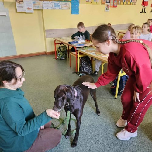 561291167_1332384582015868_7375038873551550031_n