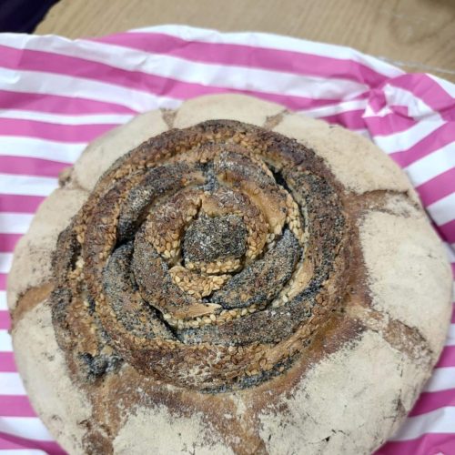 561740829_1335711745016485_5082568641085299011_n