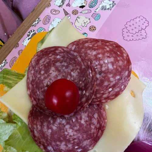 561751969_1335695188351474_3947321142512656862_n