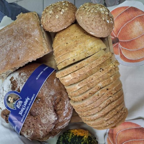 561772079_1335712398349753_3836318730574936232_n