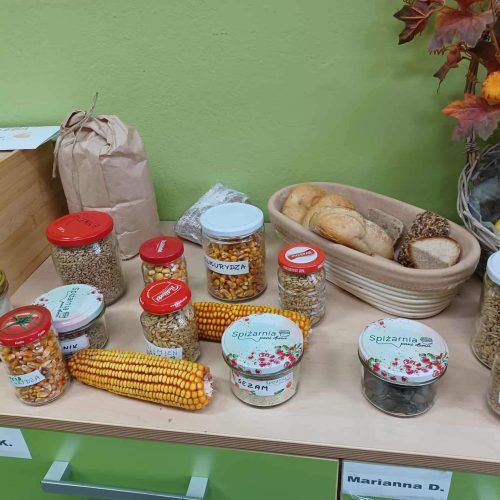 562339358_1335699661684360_2854429455158554870_n