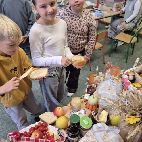 563451620_1335698665017793_4454006650407244161_n