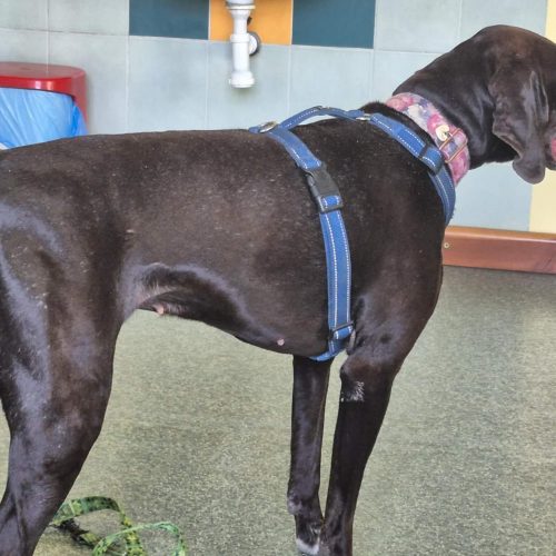 564056215_1332383762015950_2777865624049627208_n