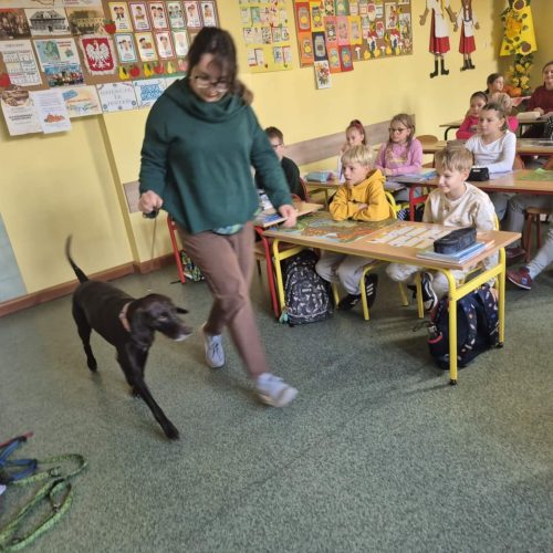 564594157_1332384112015915_5811872822305193463_n