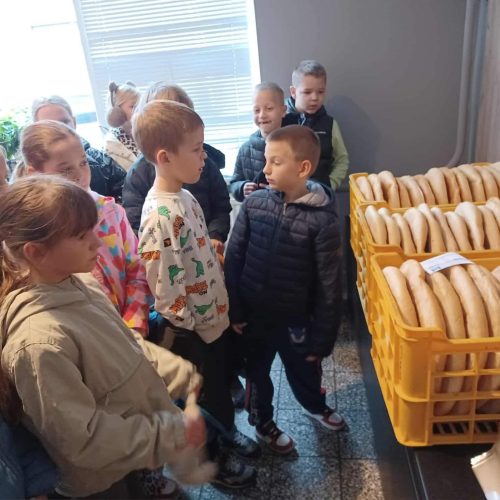 564630804_1337412818179711_5758499969000091095_n