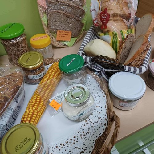 564779047_1335699425017717_4218872669484133894_n