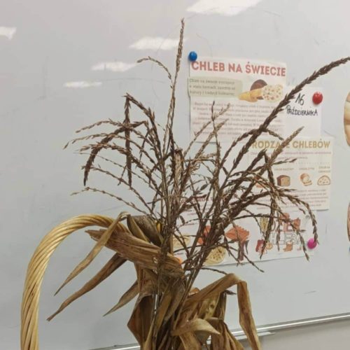 565122043_1335690238351969_8527494051547766702_n