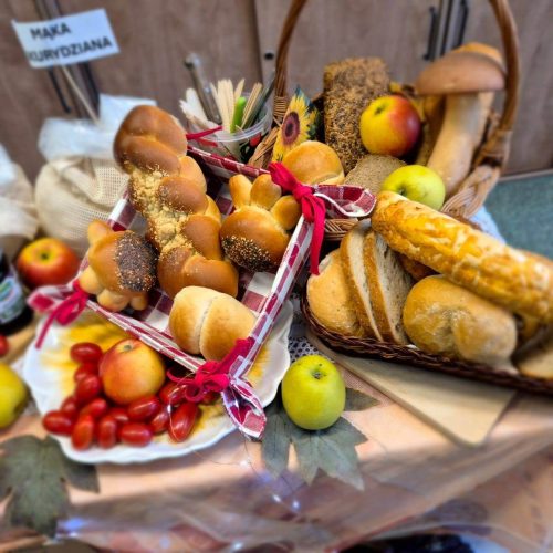 565124129_1335692698351723_8422820721695532026_n