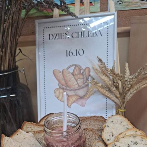 565135486_1335691141685212_212541627876469506_n