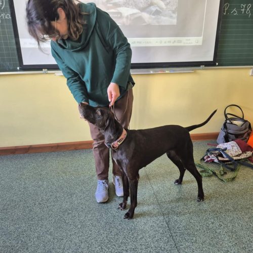 565139751_1332384052015921_8544015465768089299_n