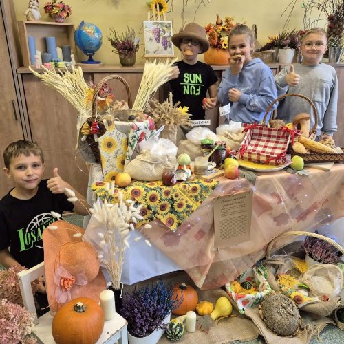 565150354_1335698828351110_4443615934170222677_n