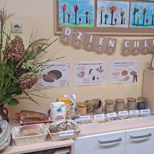 565166830_1335691405018519_2549006218948370842_n