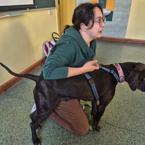 565622726_1332383078682685_6456500878418039584_n