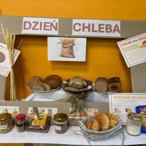 565715273_1335700088350984_9009643087286029911_n