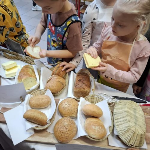 565794555_1335701658350827_1835469446475844834_n