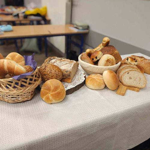 565795910_1335879141666412_4106517219931978626_n