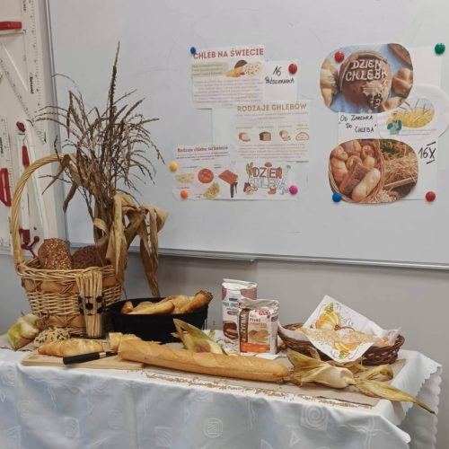 565804369_1335690275018632_8669637593708416749_n