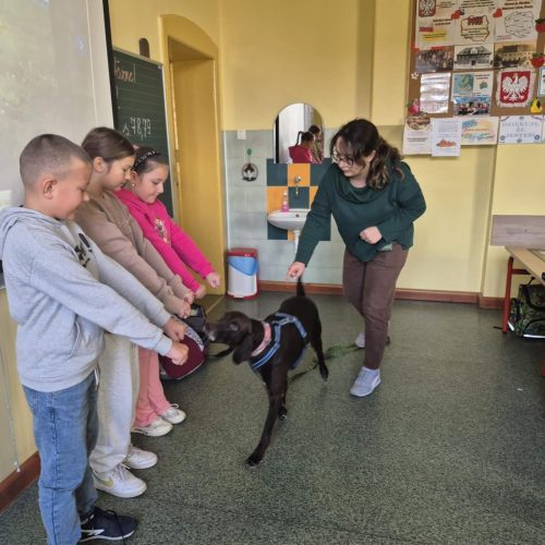 565895846_1332383922015934_1282860368689200894_n