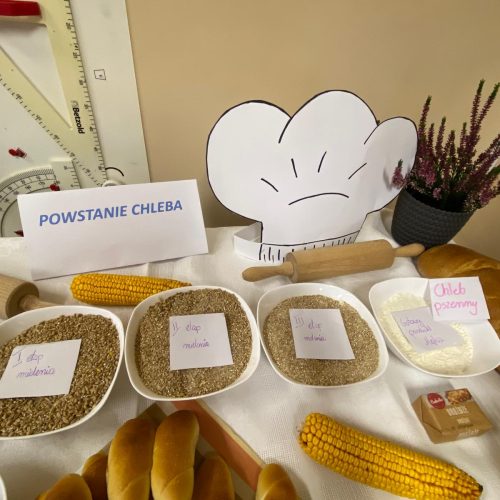 566205649_1336399361614390_8649182758896771401_n