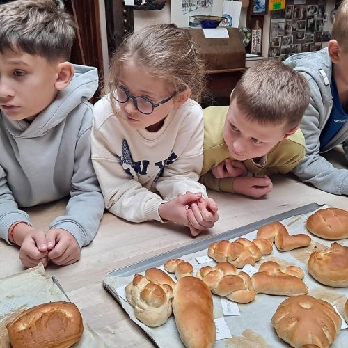 566214062_1339281991326127_1159894418108882796_n