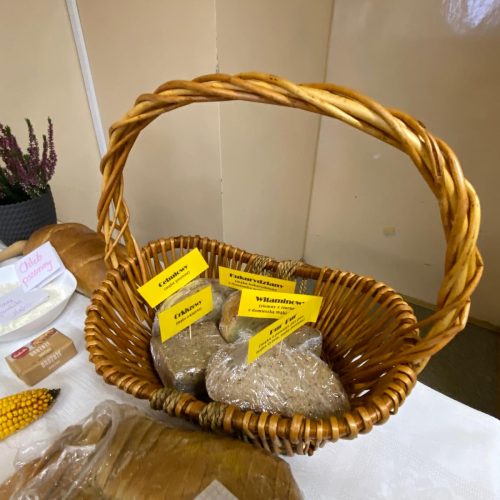 566215377_1336399291614397_8997709161232965520_n