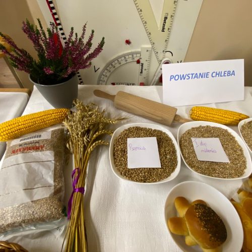 566215720_1336399358281057_503675265282596399_n