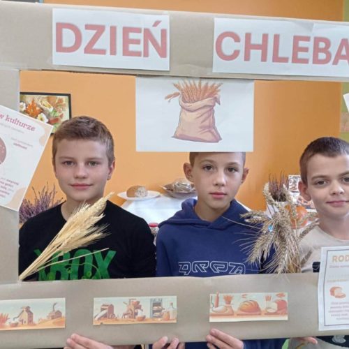 566271528_1335699618351031_5895063739425343967_n