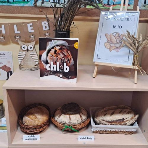 566284063_1335691441685182_7916984660765080180_n