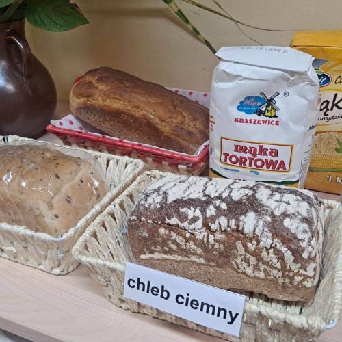 566294047_1335691251685201_7464846739991639670_n