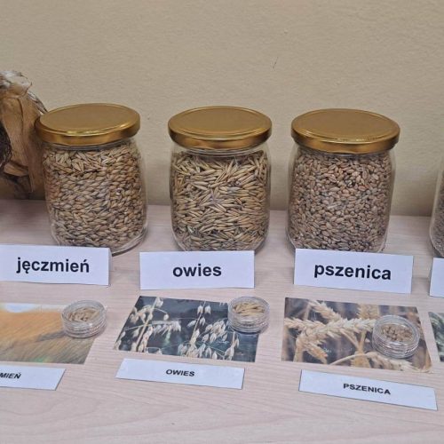 566994240_1335691291685197_6799163109700271852_n