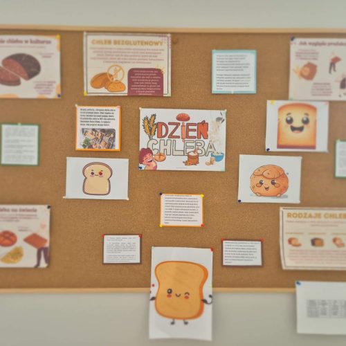 567323752_1337412258179767_2781445406254381755_n