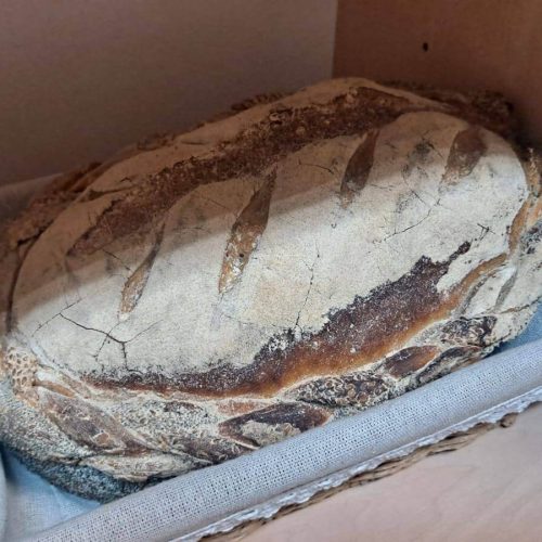 567410126_1335691368351856_926058165924978828_n