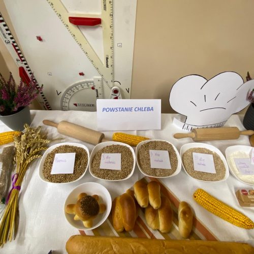 568505575_1336399194947740_3500257384498100099_n