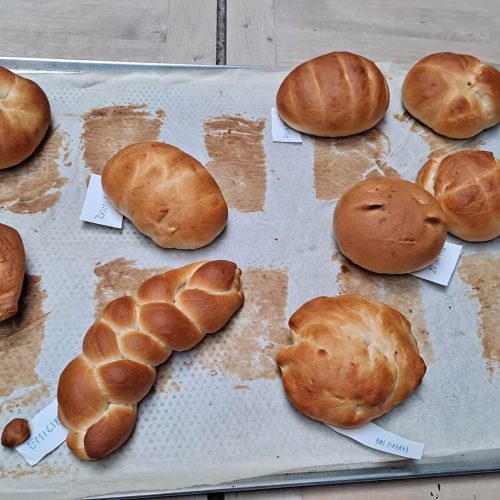 569046317_1339281821326144_4212792254613147382_n