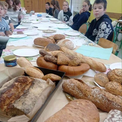 569361908_1338109274776732_5102521165148158705_n